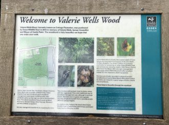 Information Board: Valerie Wells Wood Welcome to Valerie Wells Wood | Graham Cook
