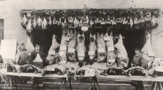 CCANyyy6yywt001004 Christmas show of meat outside Leonard's Butcher's Shop, Soham, C1900.