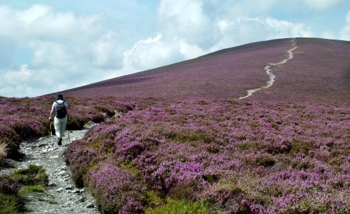 Our Wicklow Heritage