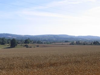 SApic0004 Rogate and the South Downs