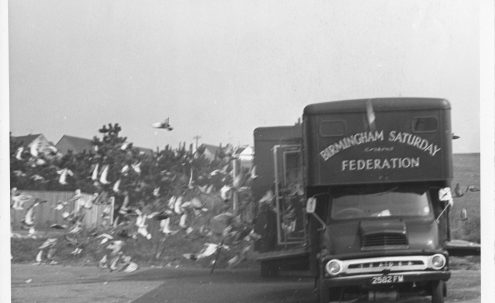Birmingham Pigeon Archive