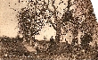 Berry Green with Stretham windmill, c.1920