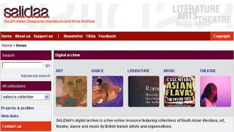 Screenshot of SALIDAA website