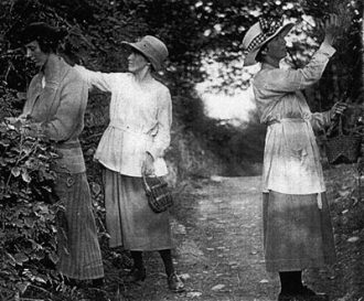 tair_chwaer Blackberrying in Montgomeryshire c1920: Enid Lloyd-Morgan (later Varlow), Ceridwen Dilys Morgan and Margaret Gwenonwy Morgan (later Steele). Mwyara yn Sir Drefaldwyn c.1920: Enid Lloyd-Morgan (Varlow wedyn), Ceridwen Dilys Morgan a Margaret Gwenonwy Morgan (Steele wedyn).