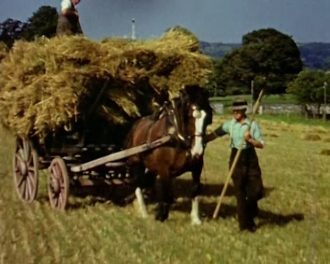 Farming on the Mendips Film archive from Somerset, Dorset and Wiltshire